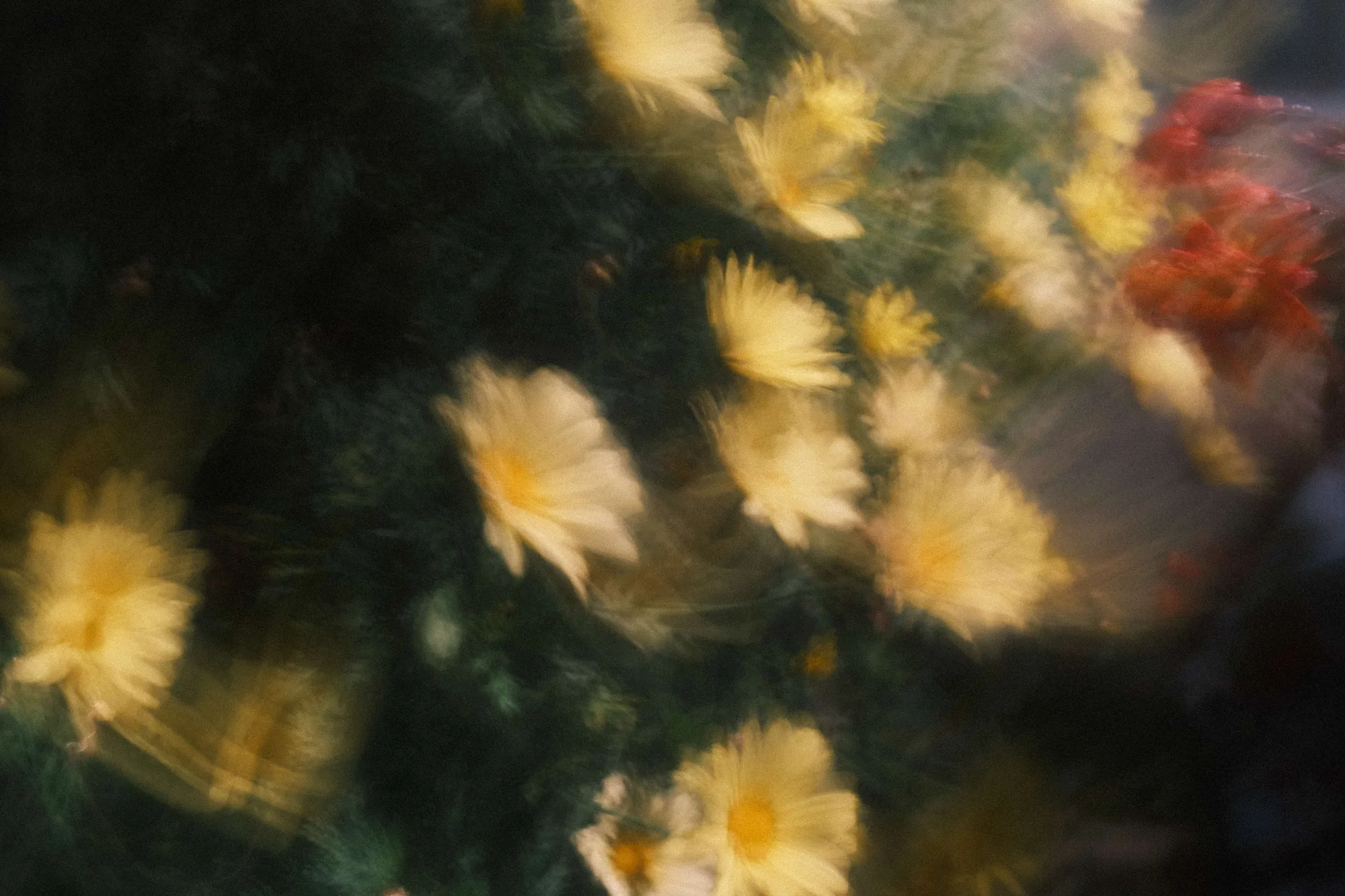 Gallery image 10 for Abstract in Nature