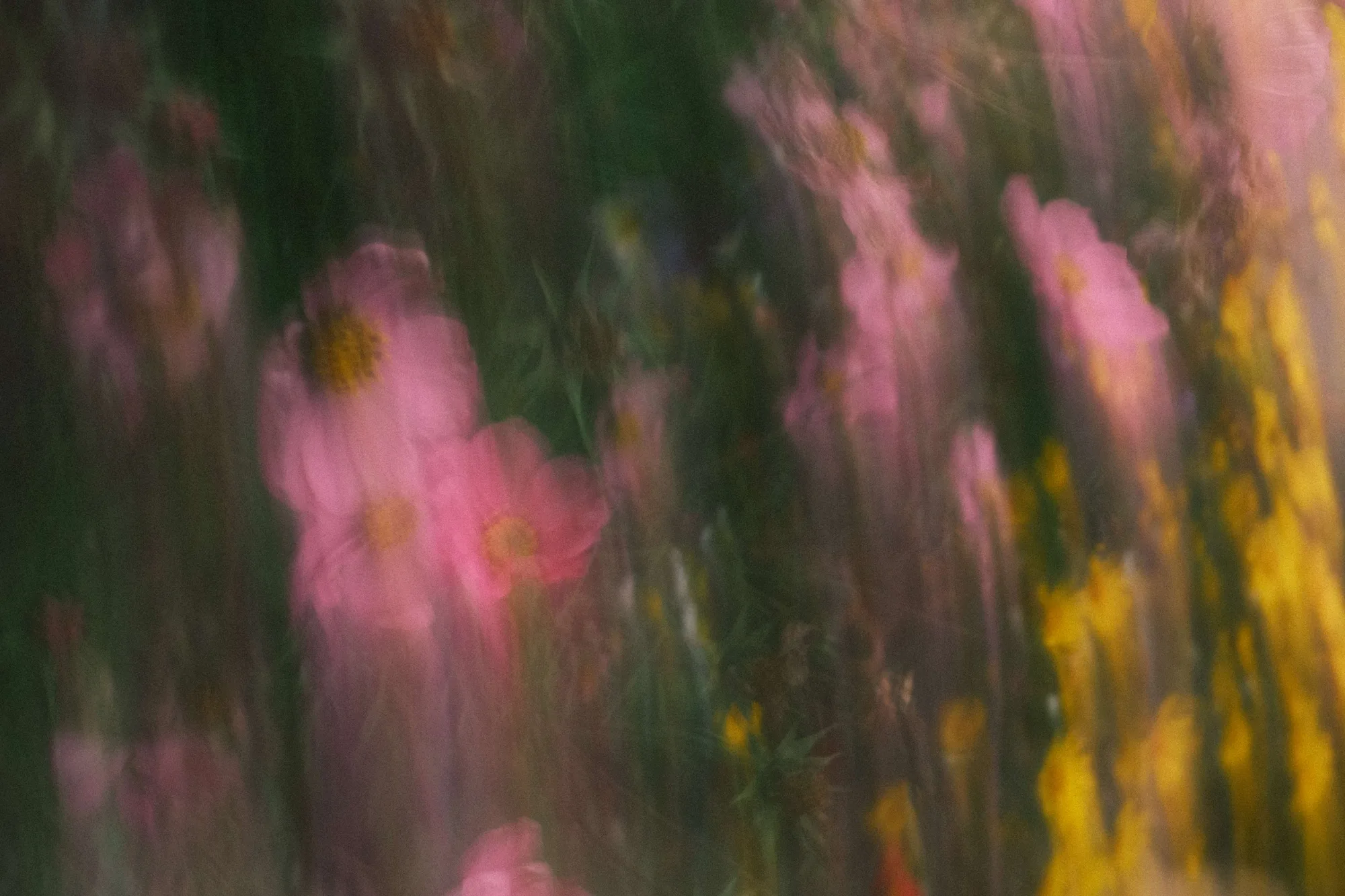 Gallery image 11 for Abstract in Nature