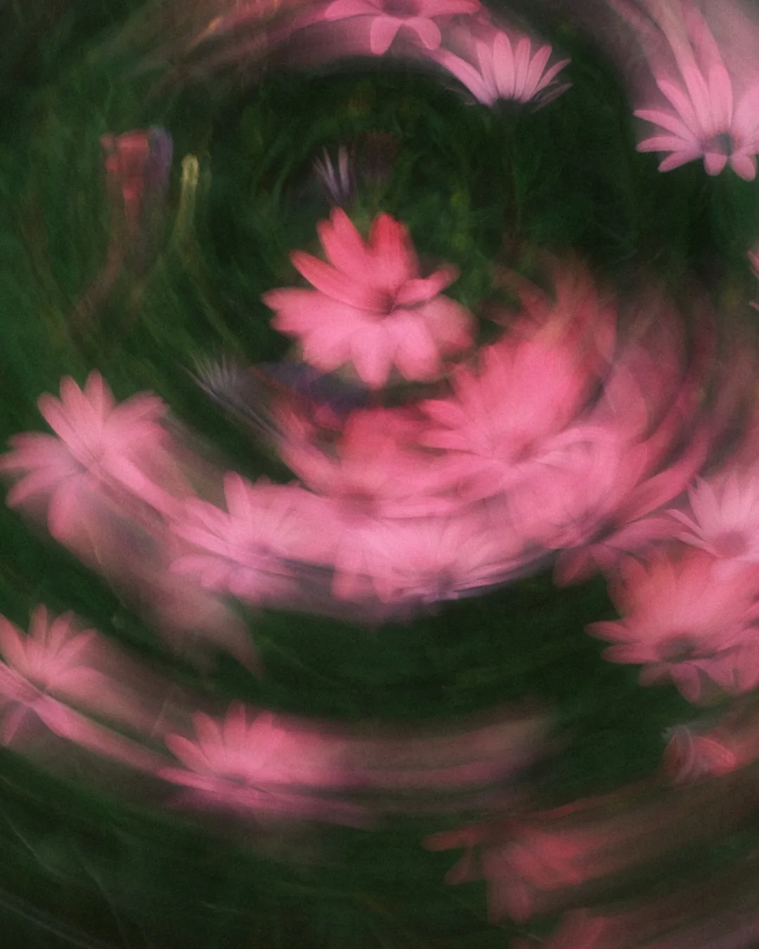 Gallery image 13 for Abstract in Nature