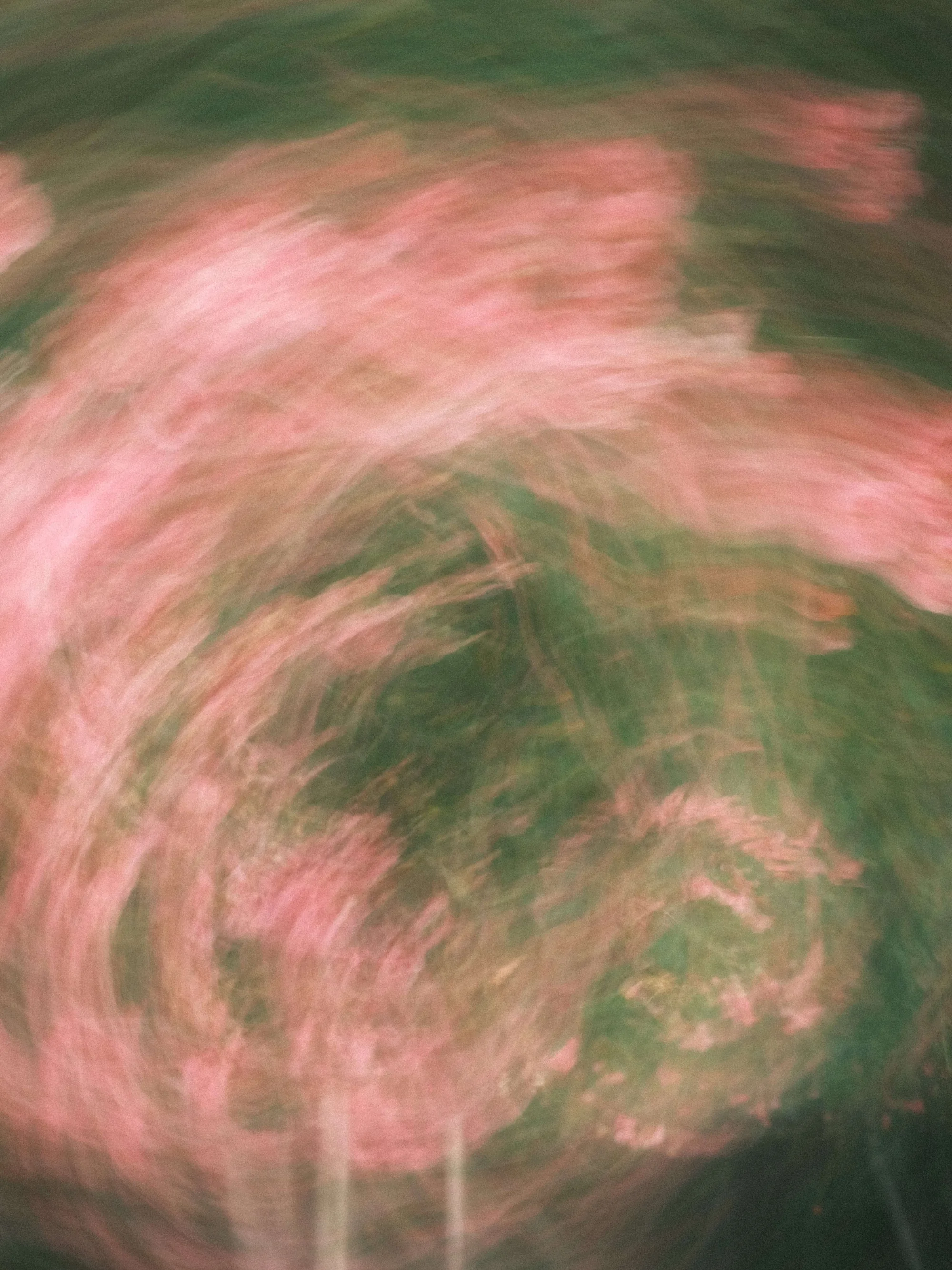 Gallery image 2 for Abstract in Nature