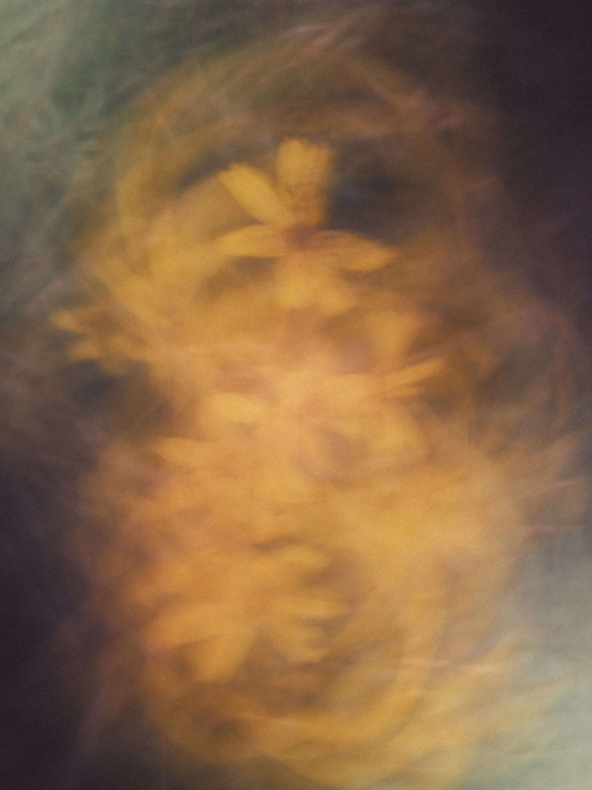 Gallery image 5 for Abstract in Nature
