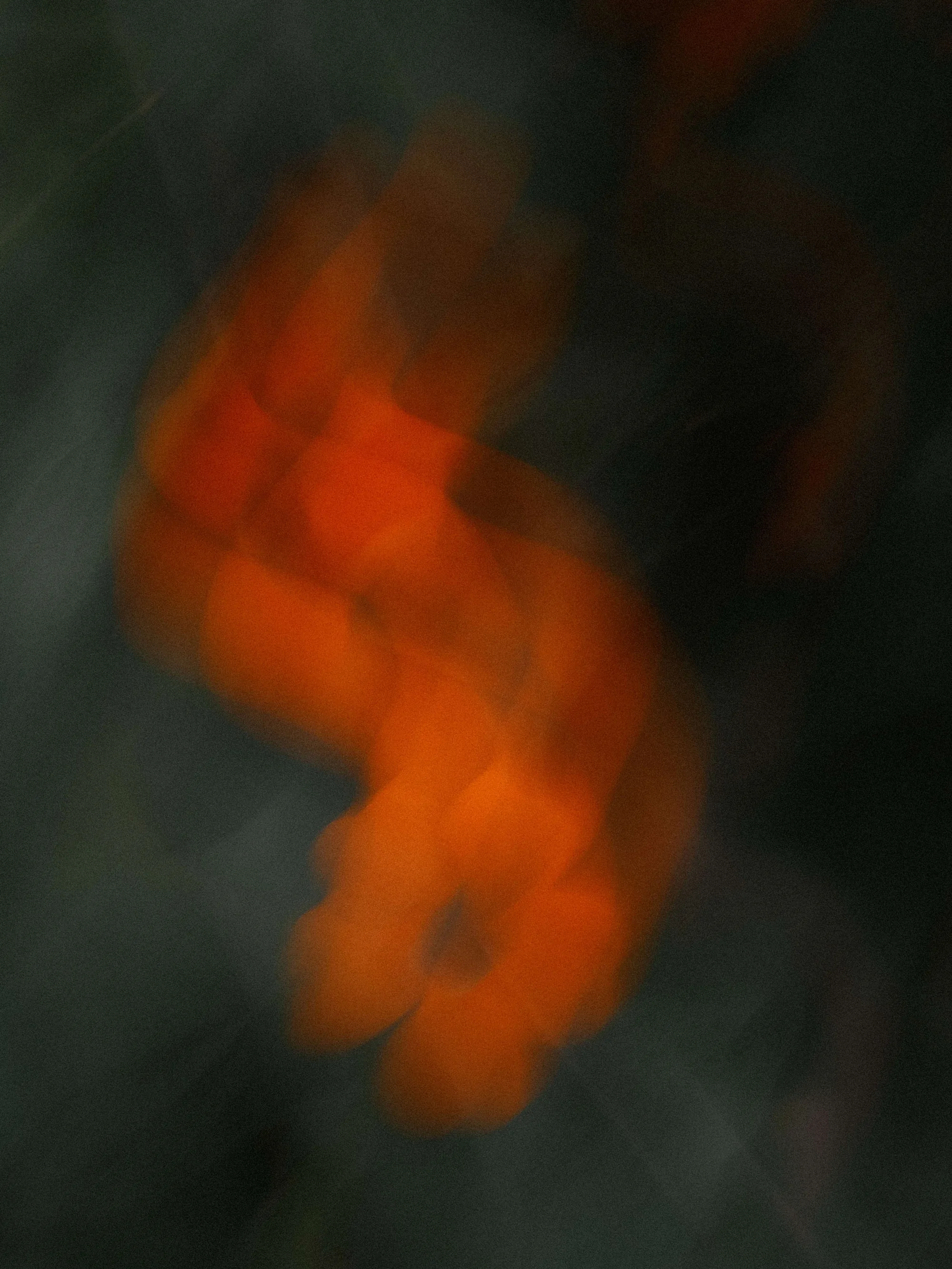Gallery image 6 for Abstract in Nature