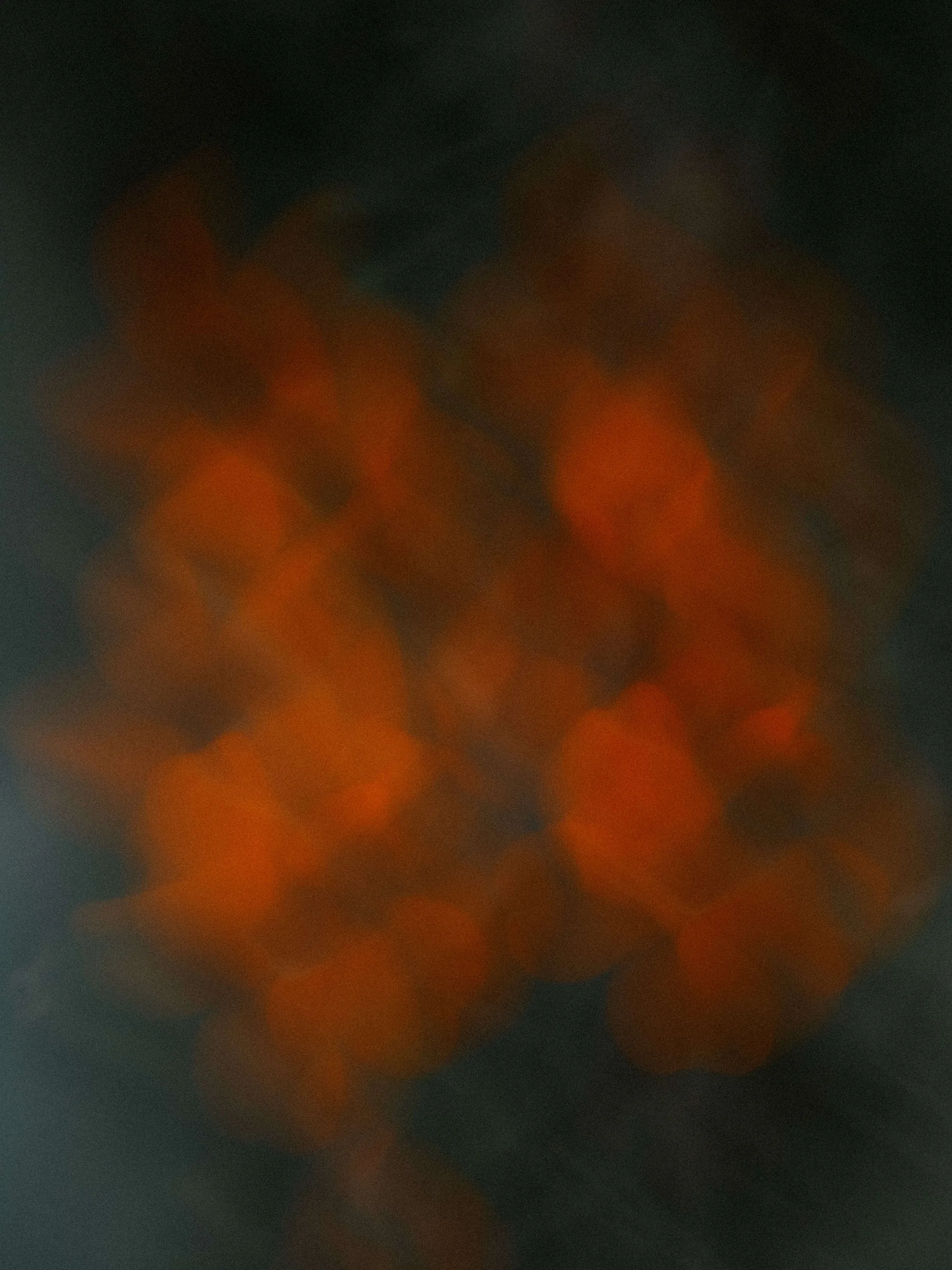 Gallery image 7 for Abstract in Nature