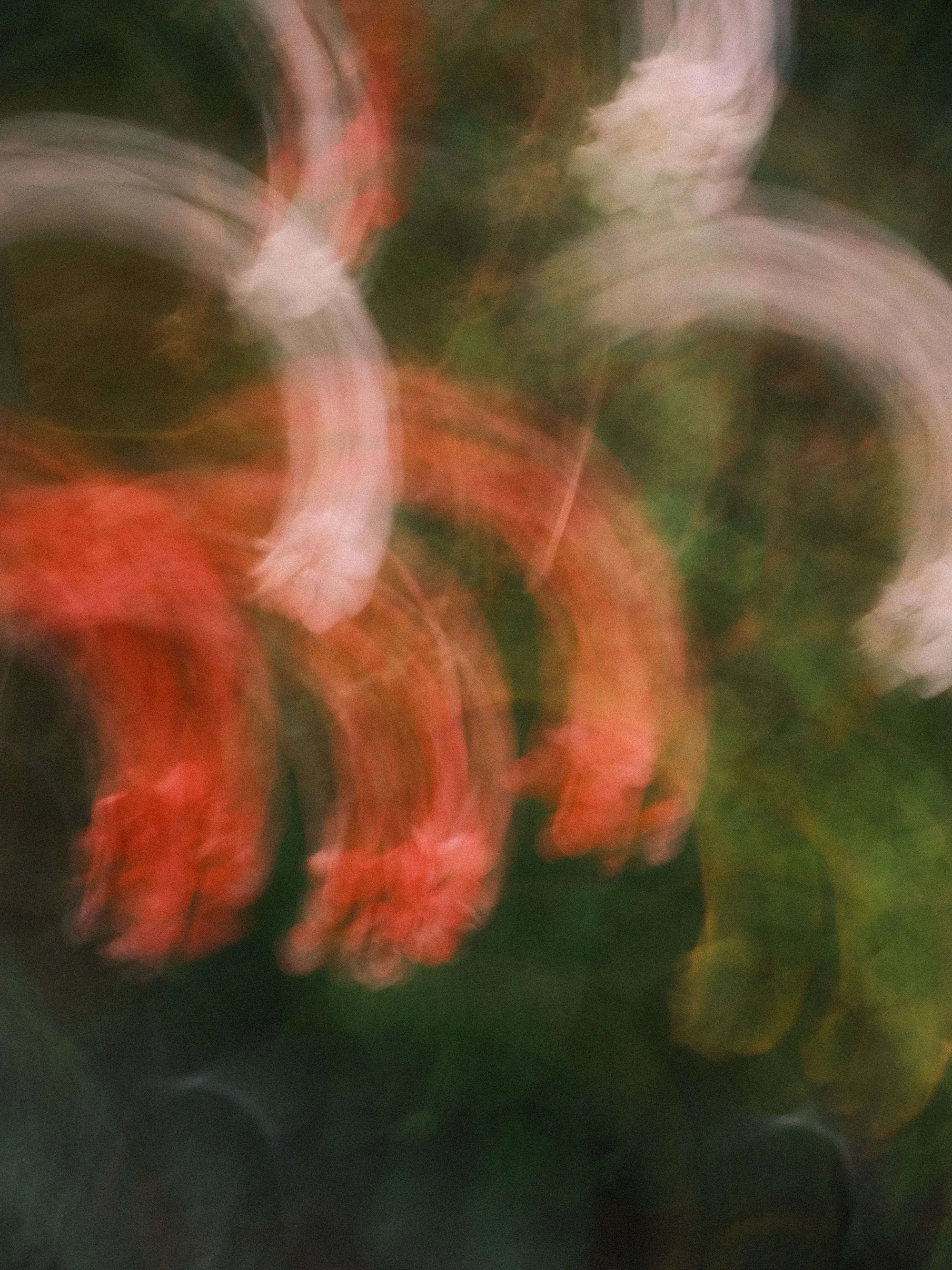 Gallery image 8 for Abstract in Nature