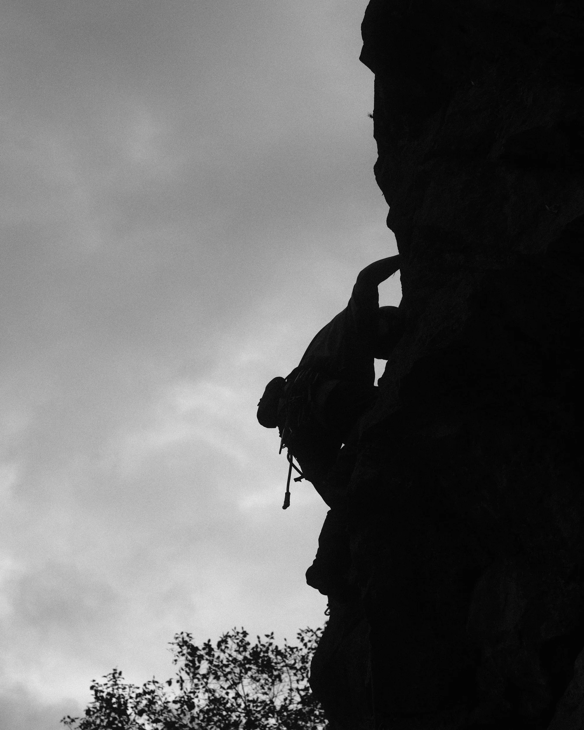 Gallery image 10 for Black & White
