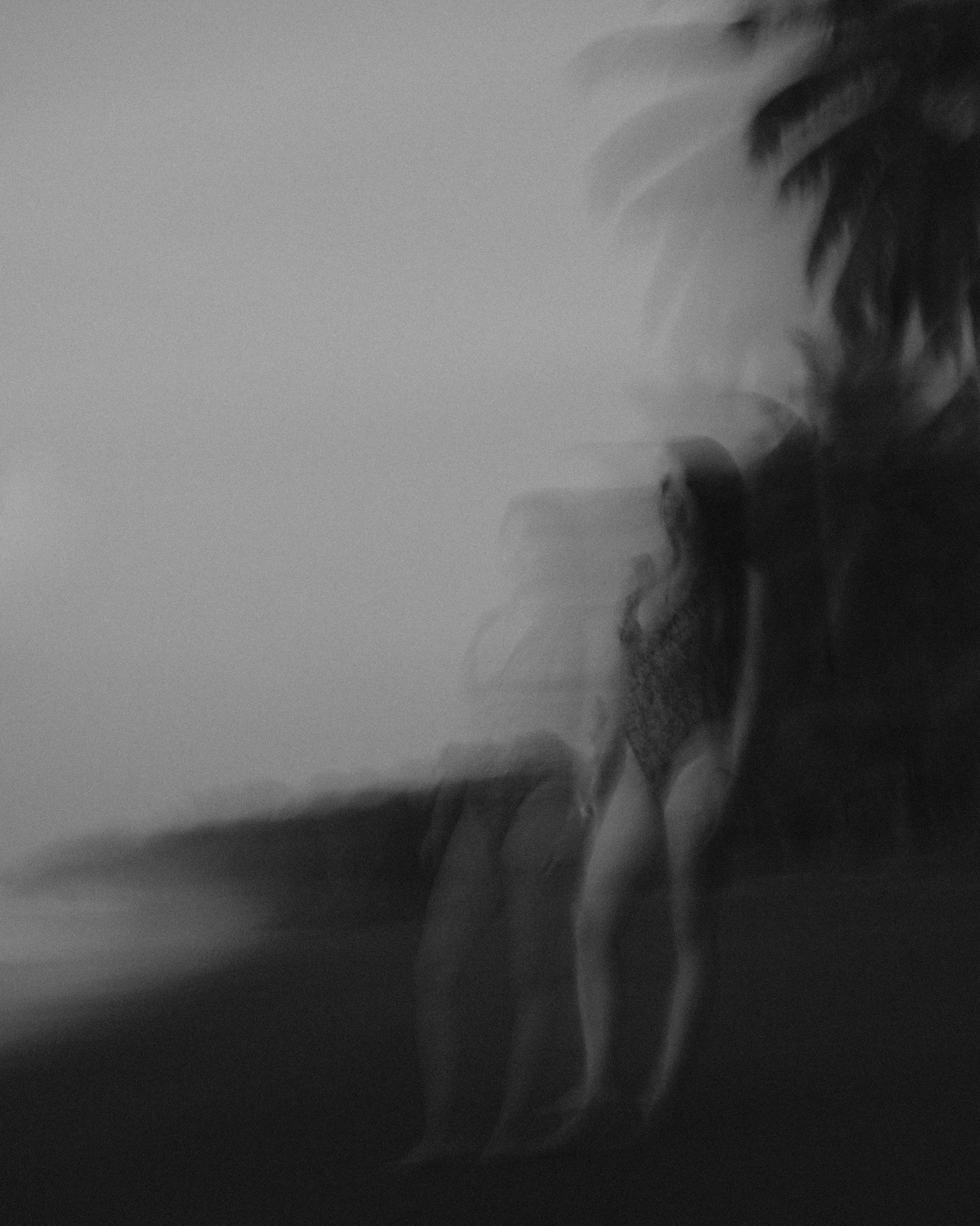 Gallery image 12 for Black & White