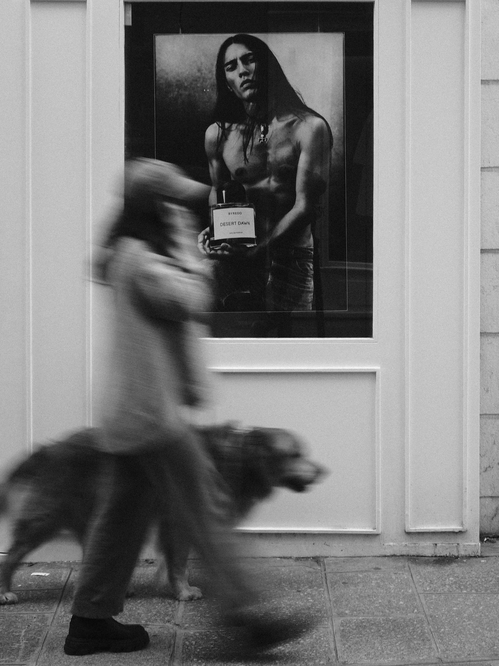 Gallery image 20 for Black & White