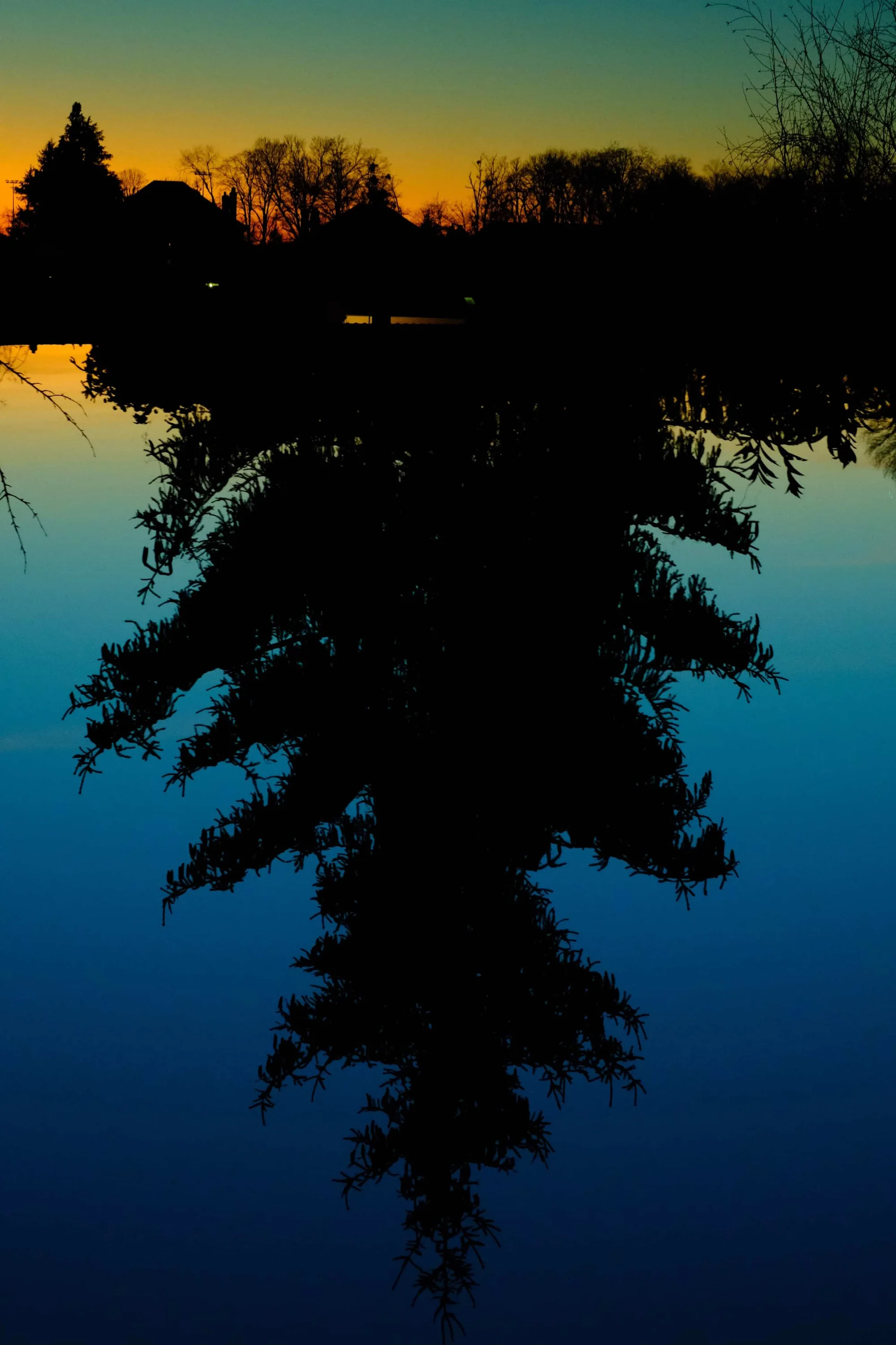 Gallery image 24 for Double Exposure
