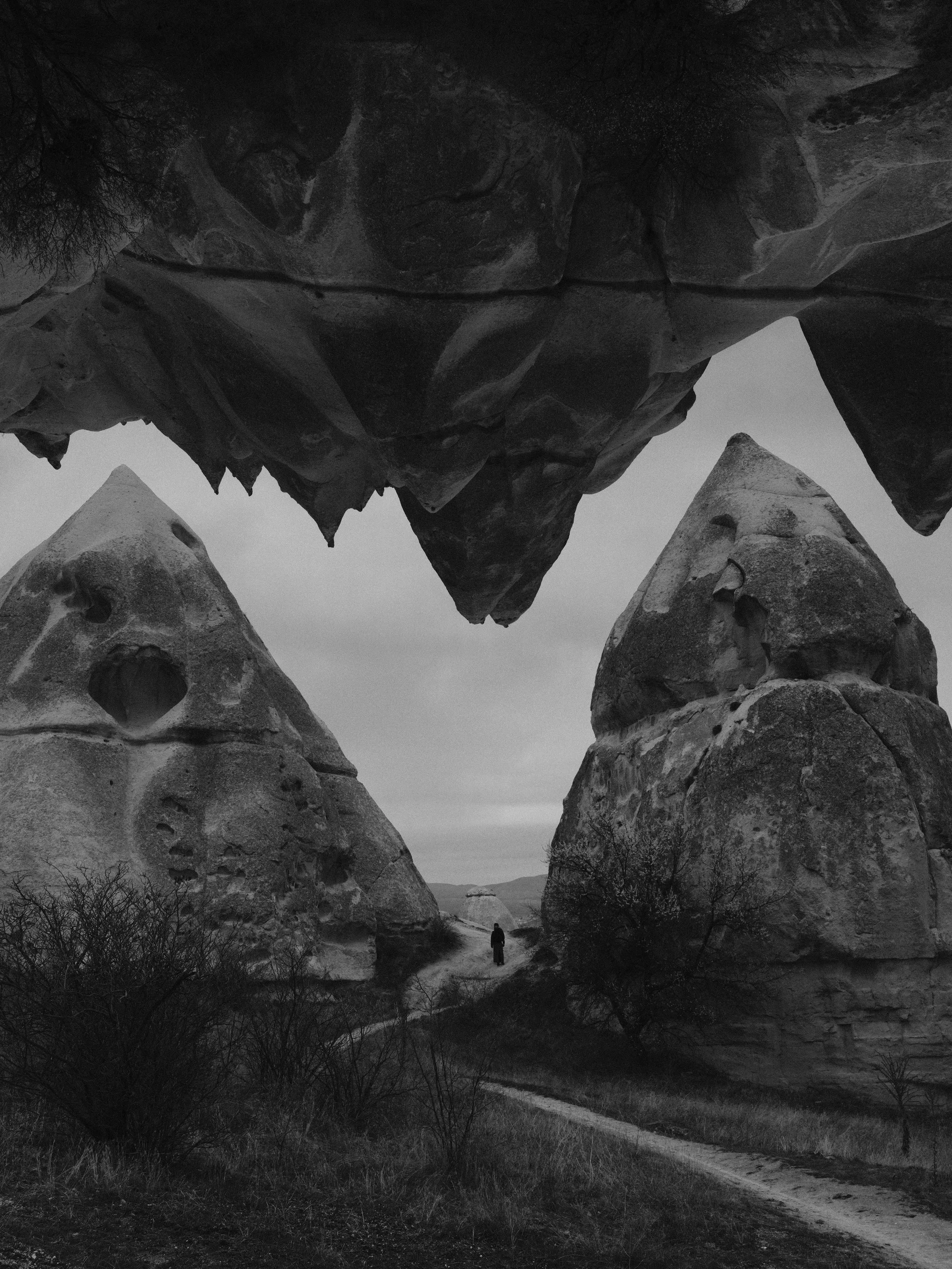 Gallery image 36 for Double Exposure