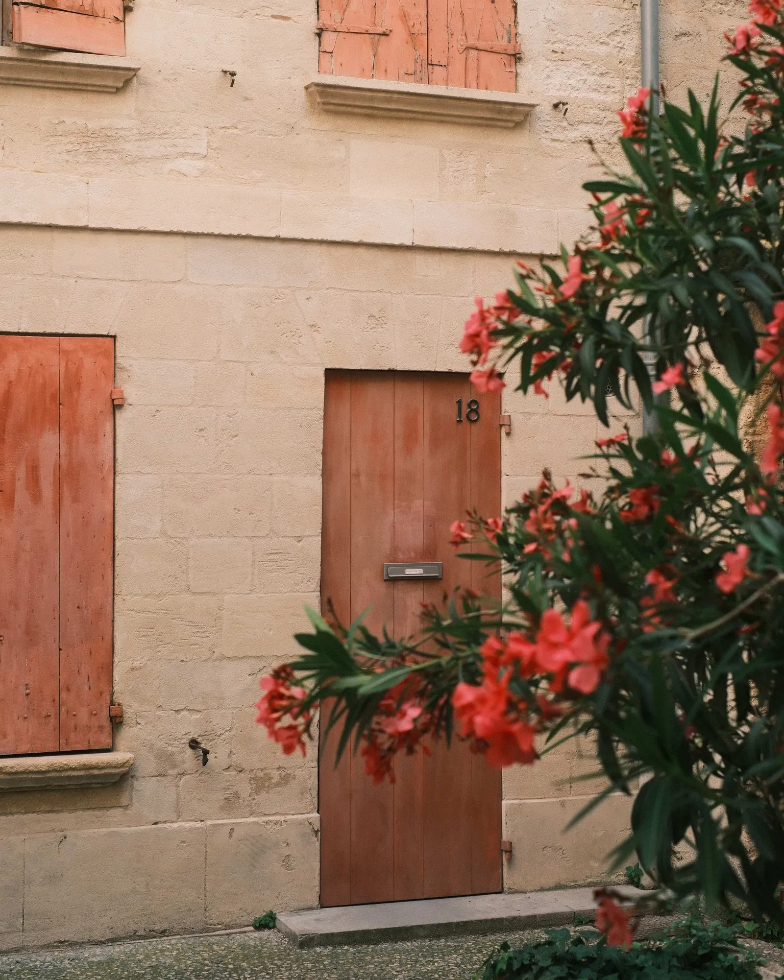 Photo taken with the Last Summer Roll recipe on the Fujifilm X-E5