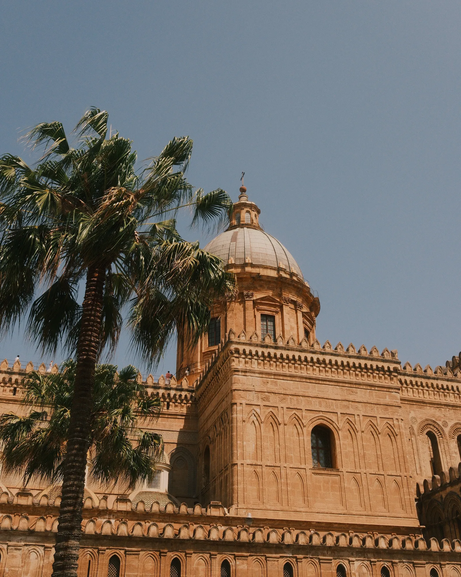 The Cathedral of Palermo, in Sicily and a palm tree