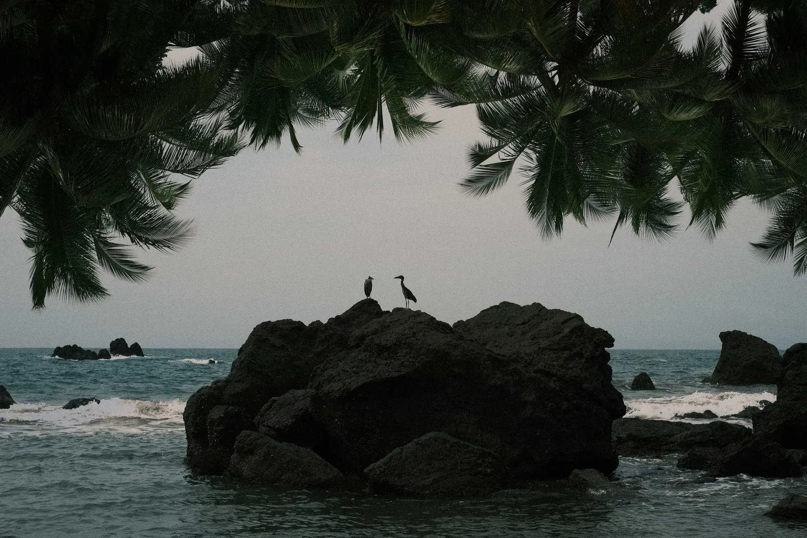 Double exposure photography taken on the Fujifilm X-T30 II in Colombia.