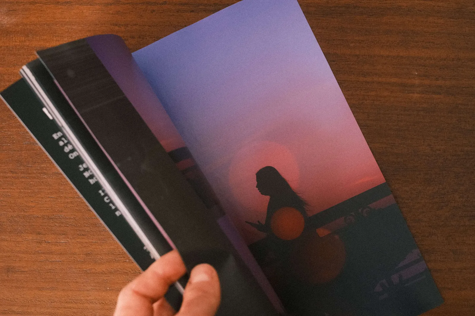 Extract from my zine "Absorbed by the Algorithm"