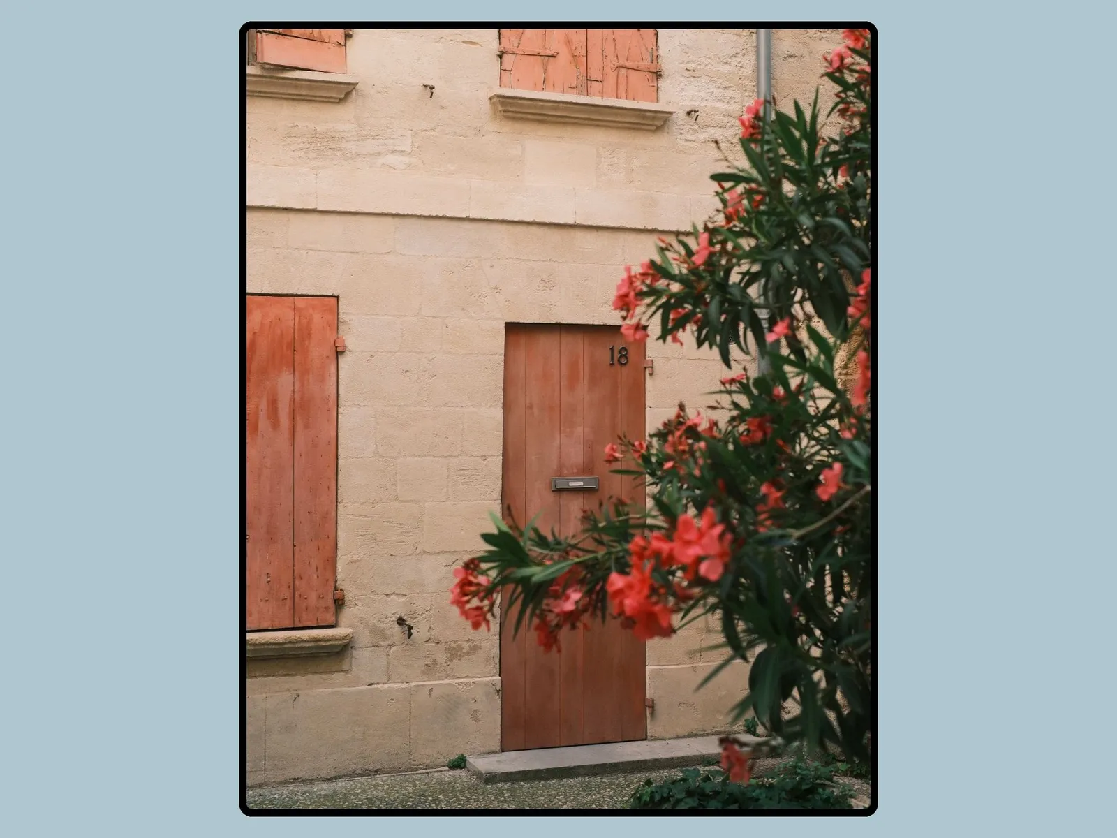 How to Add a White Border to Your Photos Online for Free