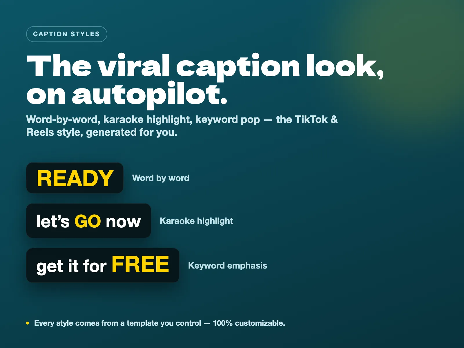 The viral caption look, on autopilot. Caption Pro for DaVinci Resolve.