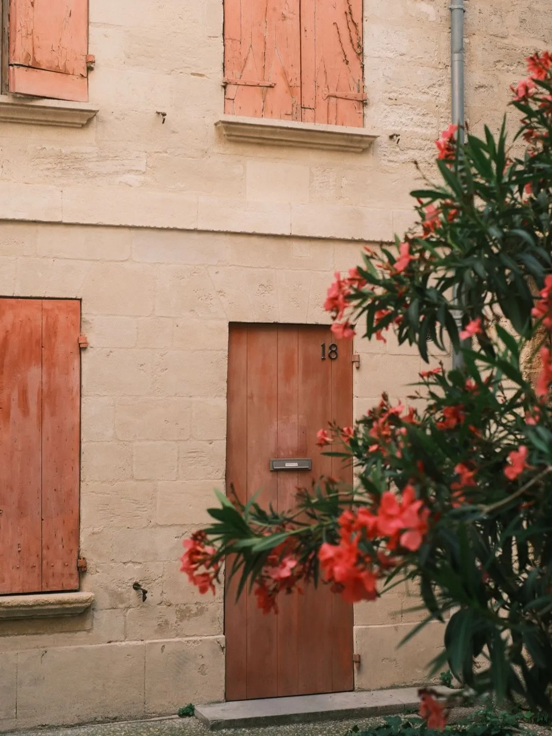 Faded coral shutters and a wooden door on a pale stone facade in Avignon, oleander in bloom in the foreground