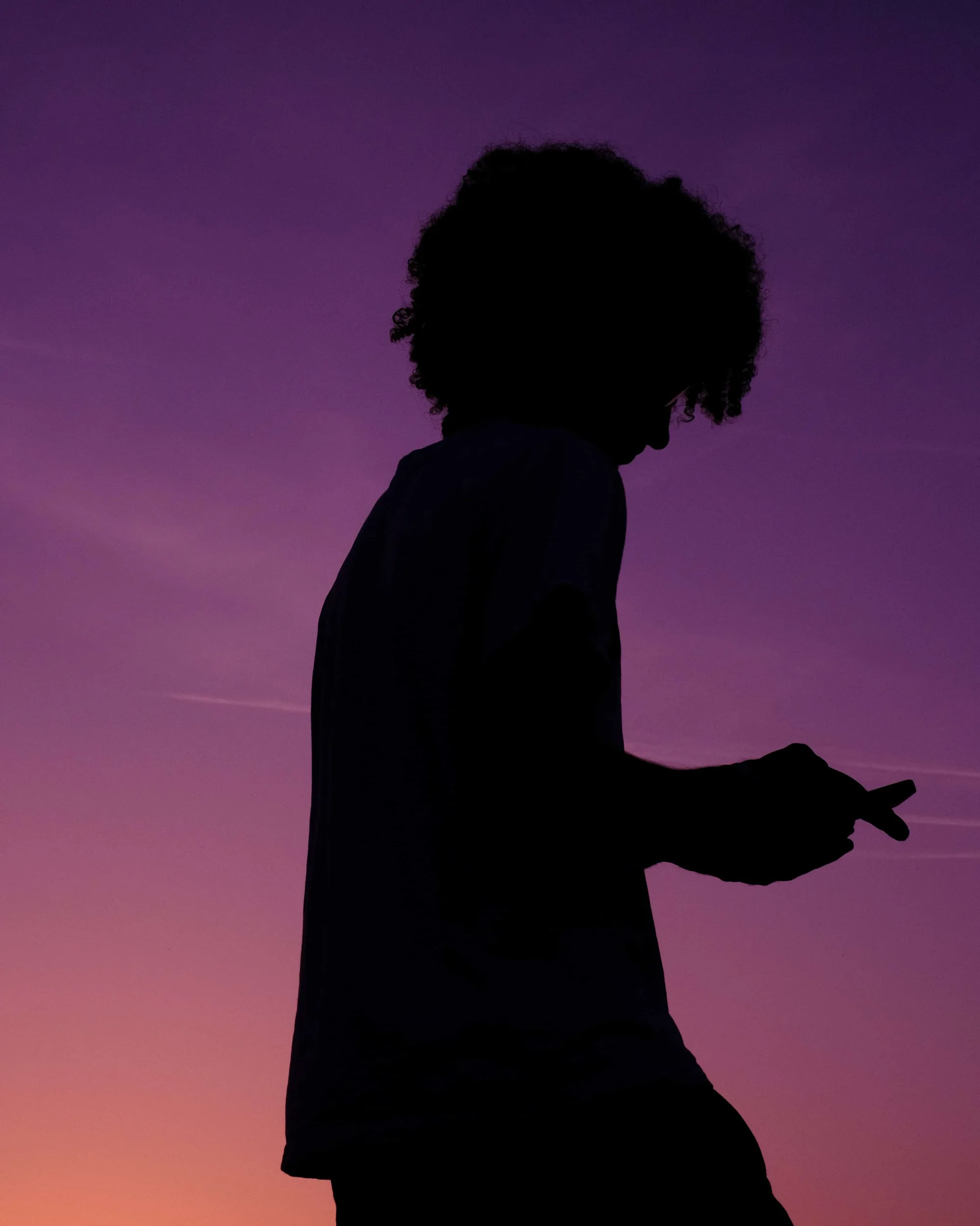 Gallery image 3 for Silhouettes