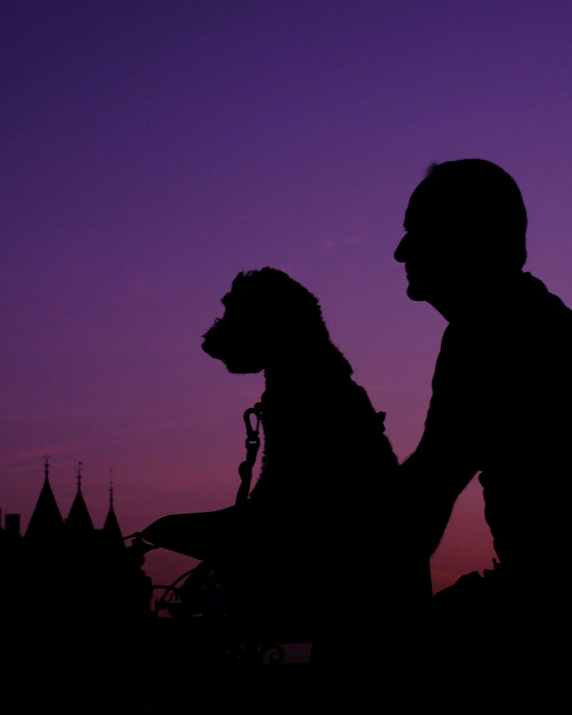 Gallery image 7 for Silhouettes