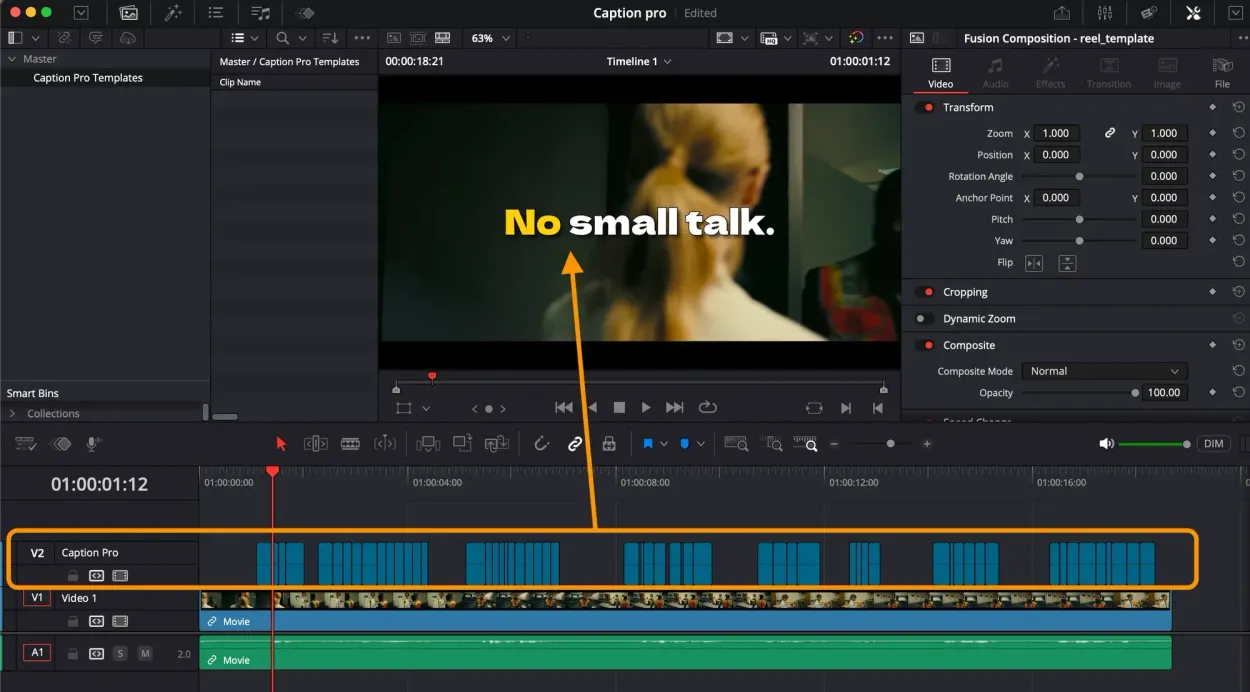 Caption Pro, automatic captions and translation for DaVinci Resolve