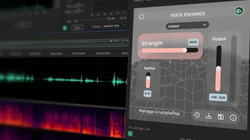 CrumplePop AudioDenoise